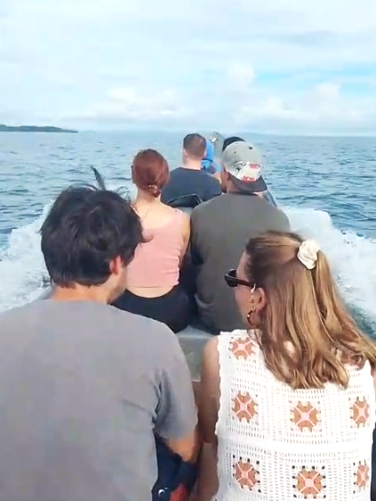 Raja Ampat Island Hopping Trip